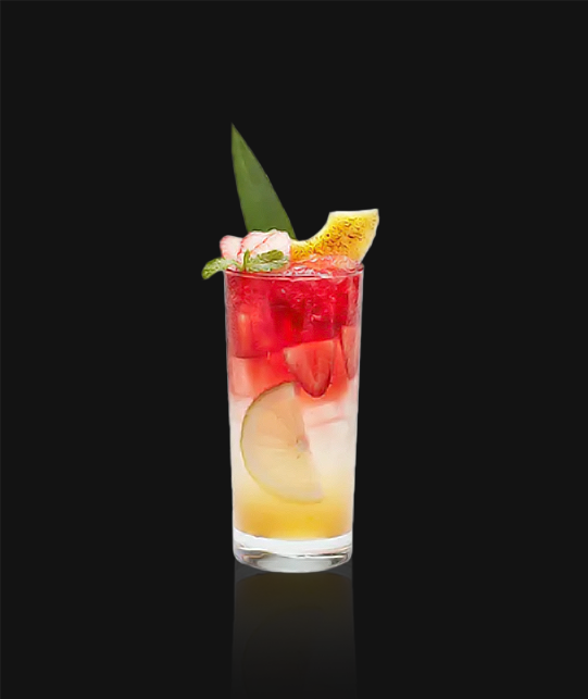 Hibiscus Limonata